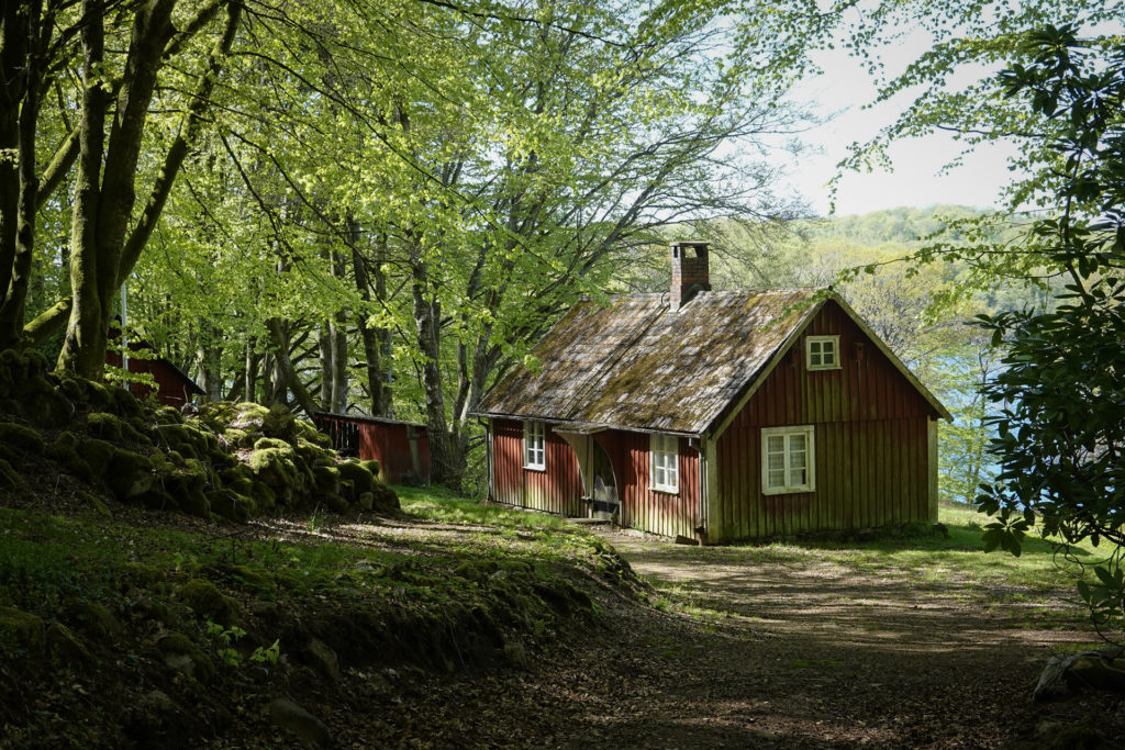 Foto: Berith Gudmundsson - Stuga i bokskogen