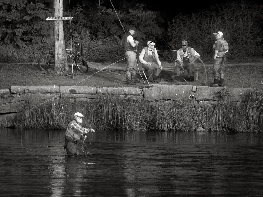 Foto: Magnus Karlsson - Fiske i Ätran